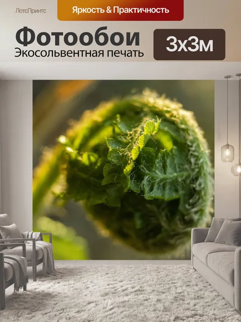 Фотообои Лес