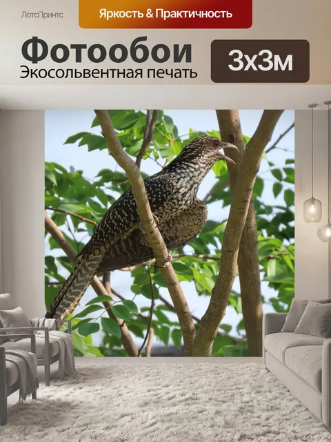 Фотообои Животные