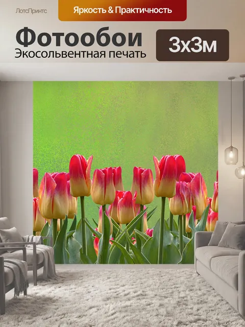 Фотообои Тюльпаны