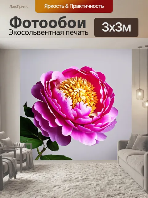 Фотообои пионы в стиле минимализм