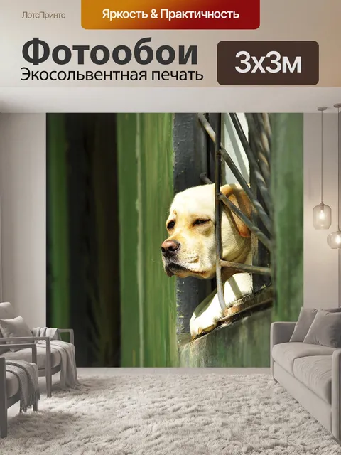 Фотообои Собака