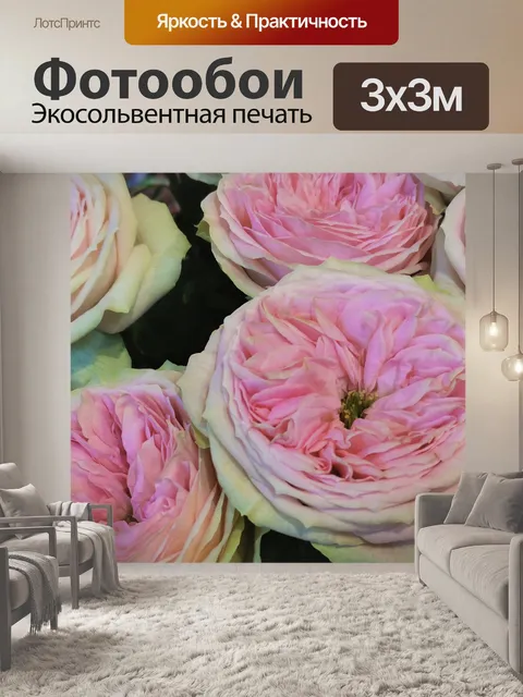Фотообои Розовые тюльпаны