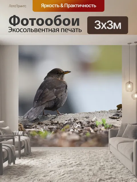 Фотообои Птица