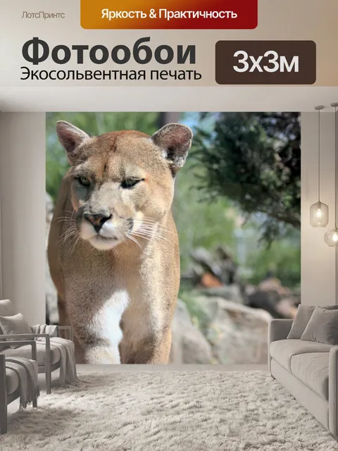 Фотообои Кумарь крупным планом