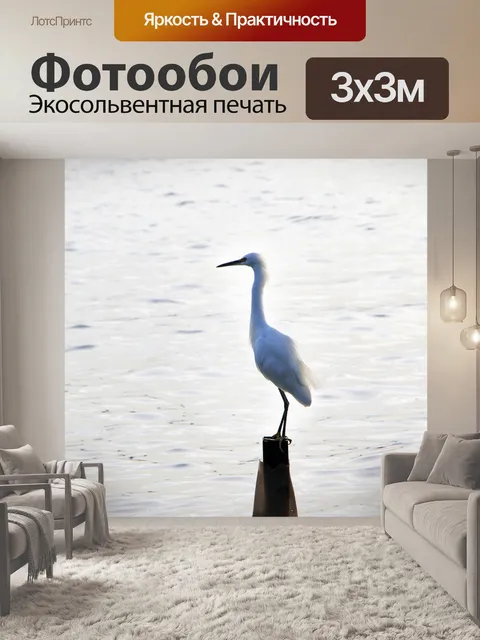 Фотообои Цапля