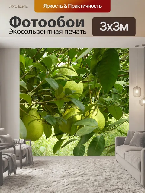 Фотообои Груши