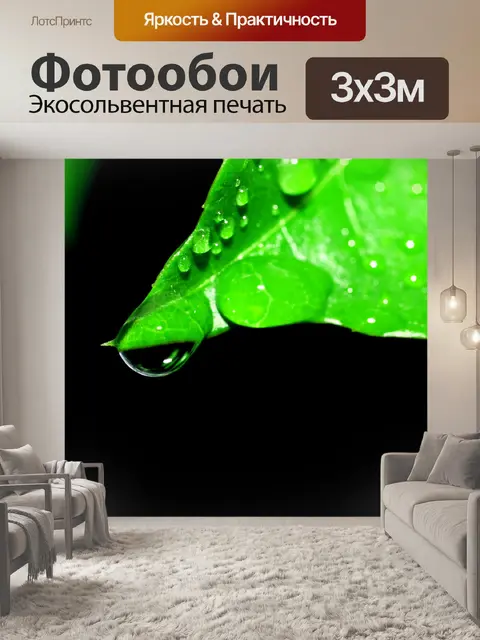 Фотообои Капля воды на листе