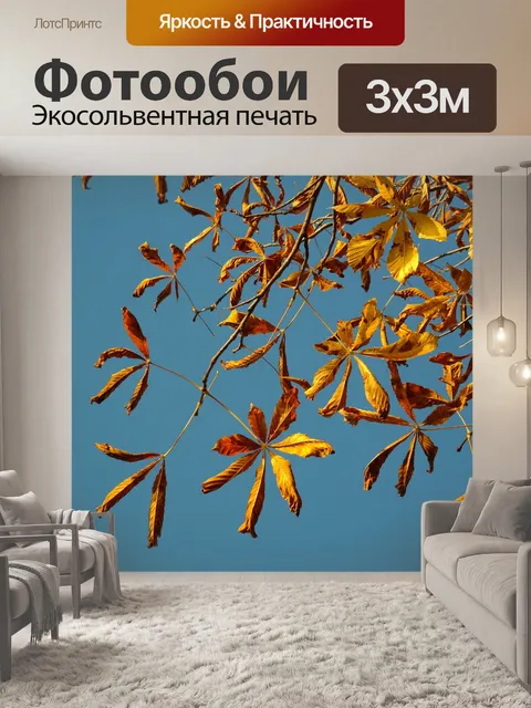 Фотообои Конский глаз