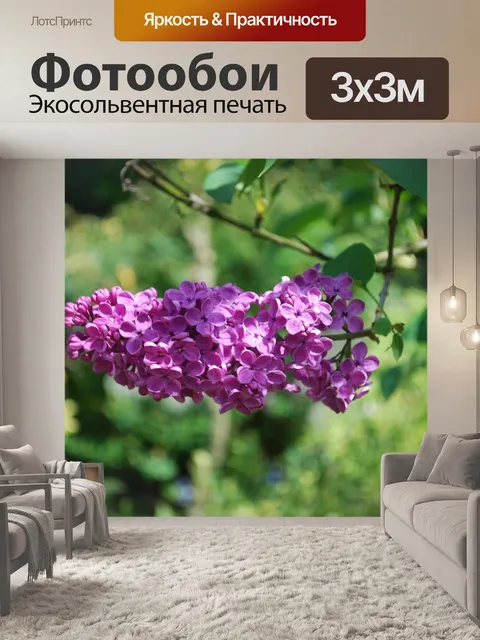 Фотообои Сирень