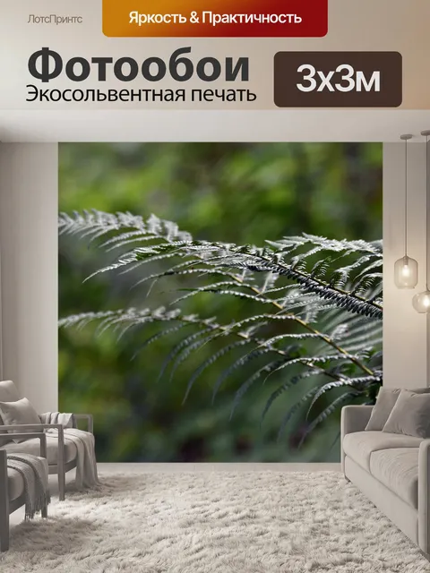 Фотообои Папоротник