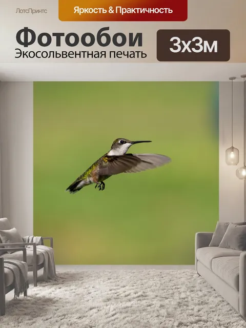 Фотообои Птица