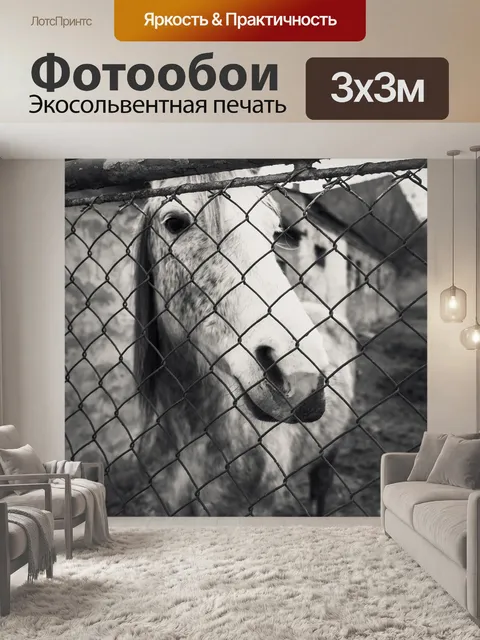 Фотообои Лошадь