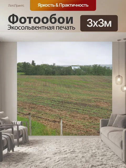 Фотообои Мокрое поле фермера