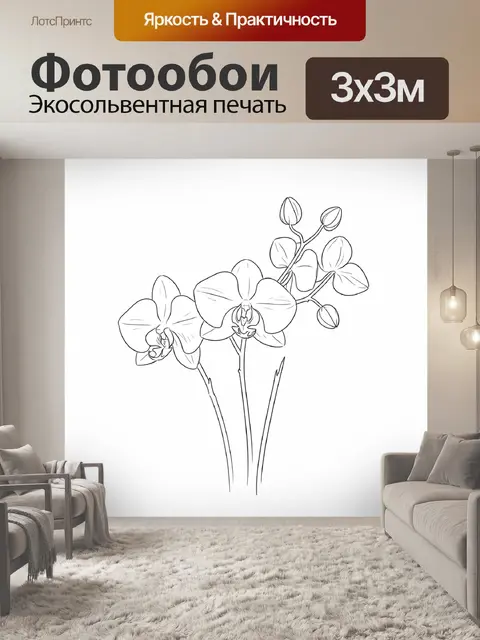 Фотообои Белые орхидеи на стеблях