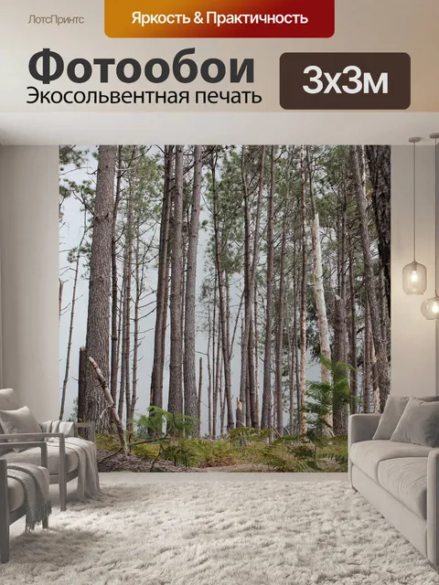 Фотообои Сосны