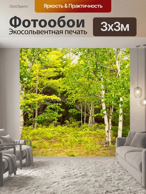 Фотообои Белые Березы