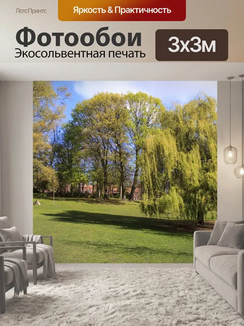 Фотообои Фон