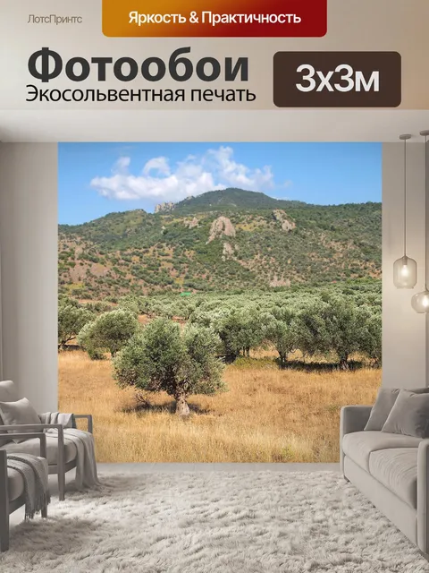 Фотообои Вид
