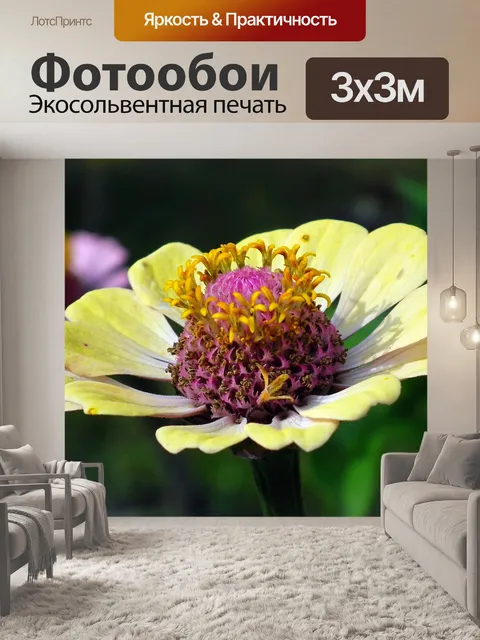 Фотообои Цветы