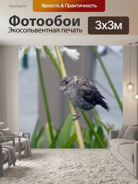 Фотообои Воробей