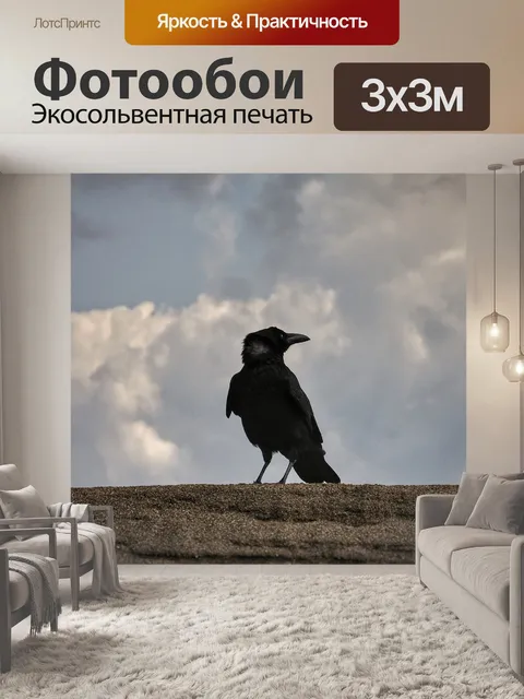 Фотообои Животное