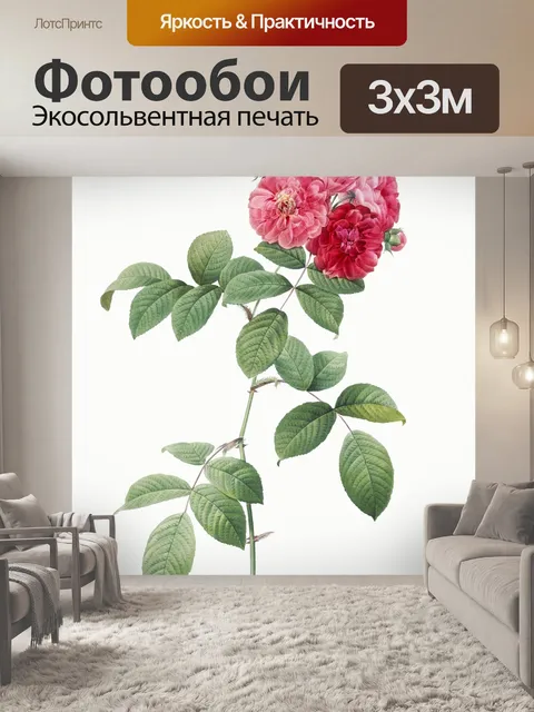 Фотообои Роза винтажное искусство старое