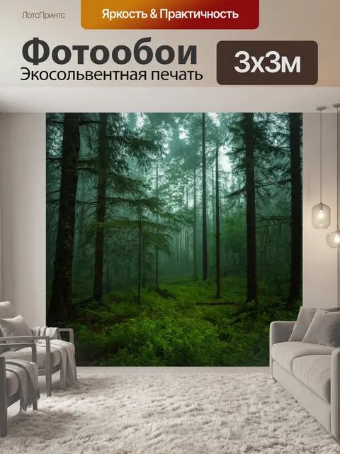 Фотообои лес с полумглой, создающей таинственное настроение в атмосфере