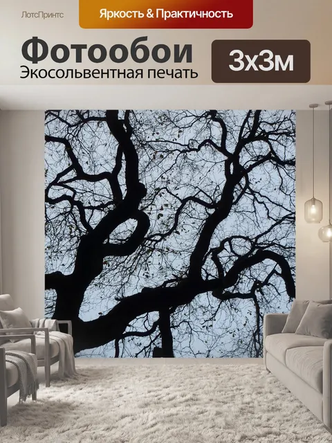 Фотообои Контраст