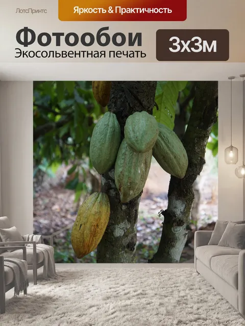 Фотообои Еда