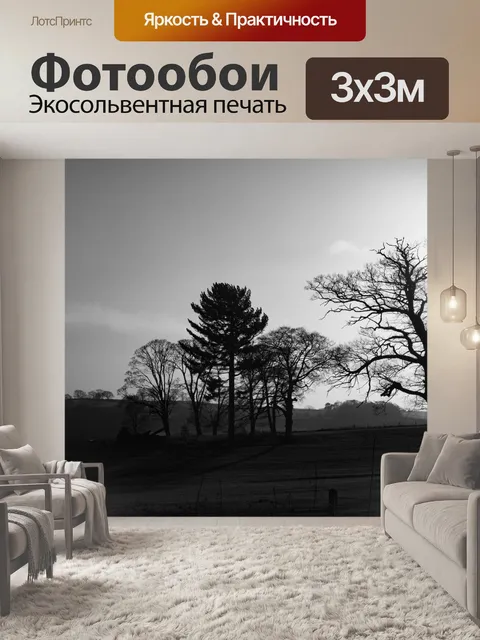 Фотообои Деревья без листьев