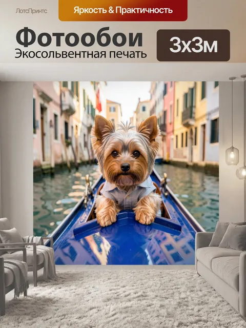 Фотообои Йоркширский терьер в гондоле