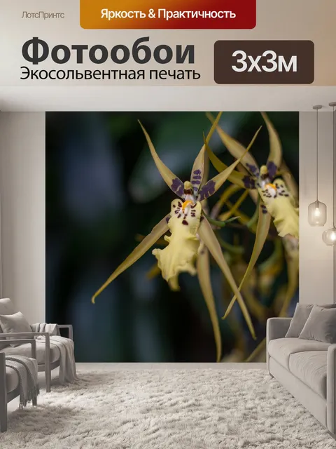 Фотообои Цветок