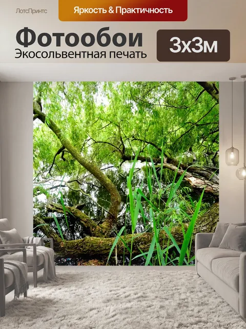Фотообои Ствол дерева