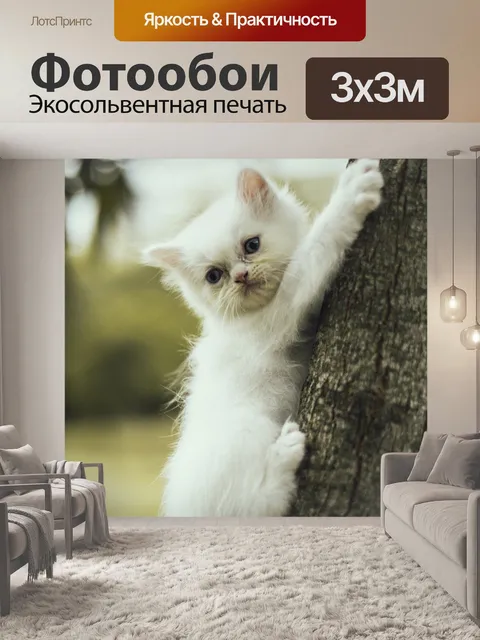 Фотообои Кошки