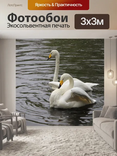 Фотообои Лебеди