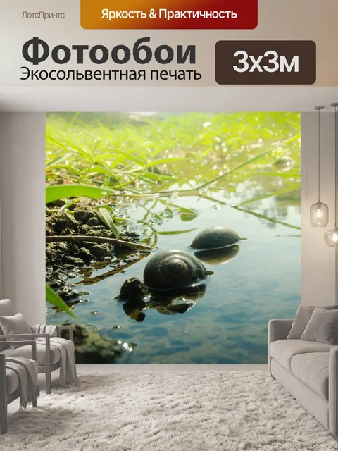 Фотообои Улитка