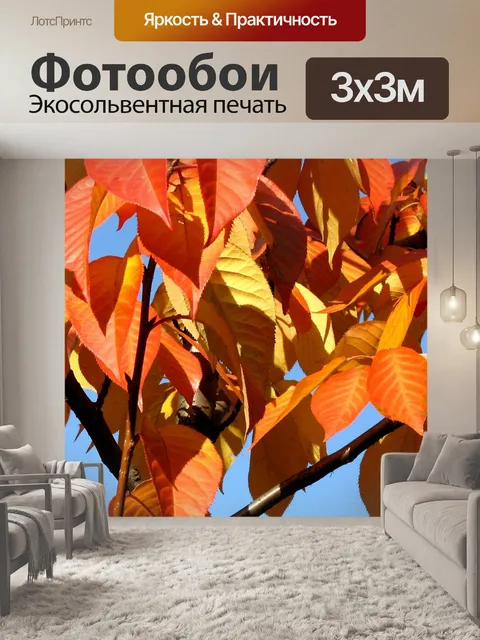 Фотообои Осень