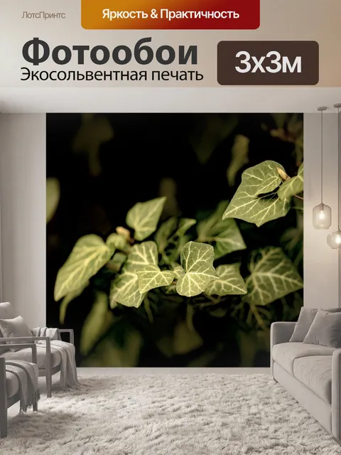 Фотообои Лист