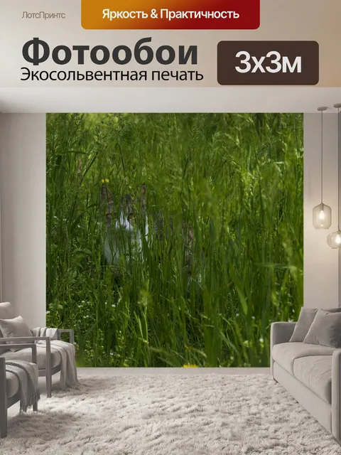 Фотообои Кошка