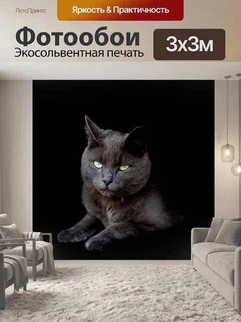 Фотообои Кот