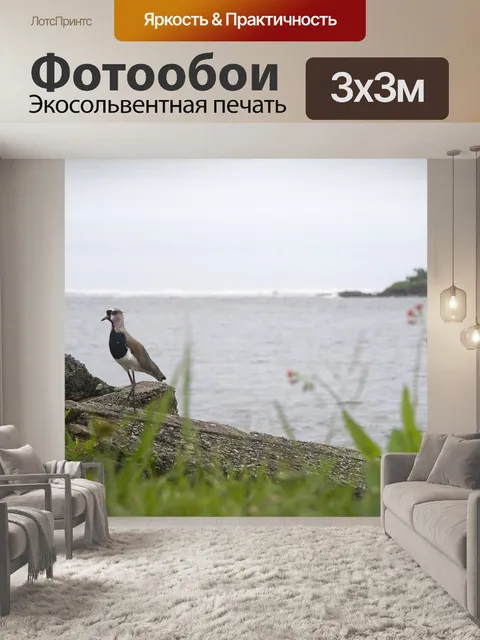 Фотообои Птица