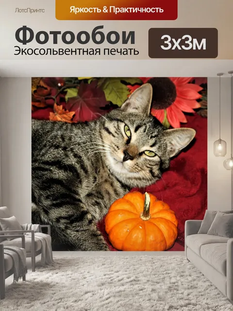 Фотообои Полосатый кот и тыква