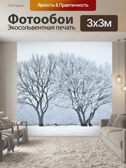 Фотообои Снег