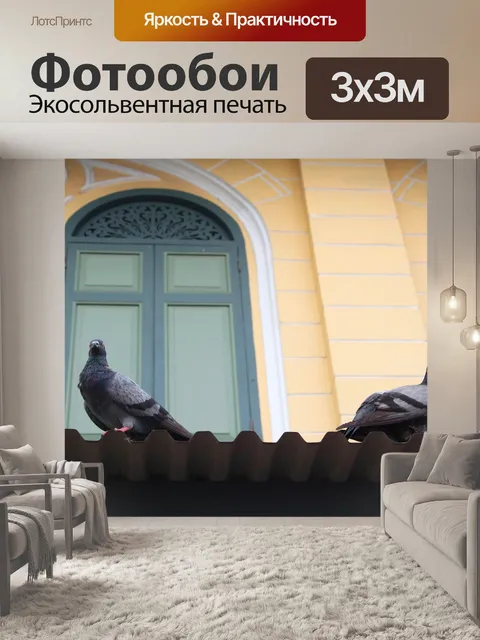 Фотообои Голуби