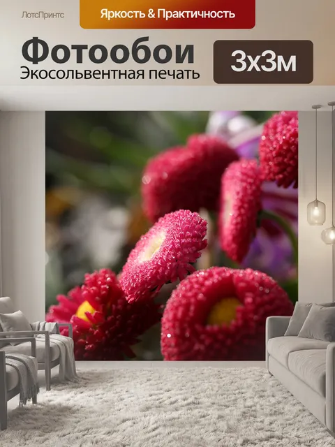 Фотообои Цветок