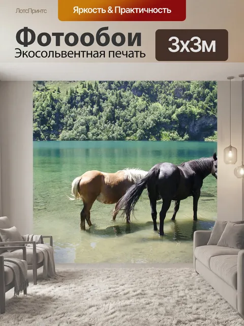 Фотообои Лошадь