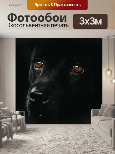 Фотообои Собака