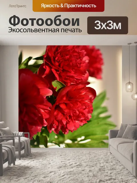 Фотообои Пион