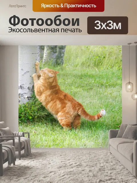 Фотообои Зигги 2 сентября