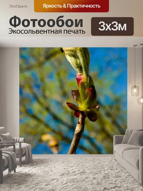 Фотообои Дерево